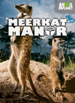 Meerkat Manor Poster