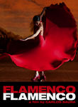 Flamenco, Flamenco Poster