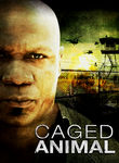 Caged Animal Poster