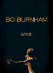Bo Burnham: what. Poster