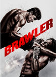 Brawler Poster