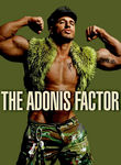 The Adonis Factor Poster