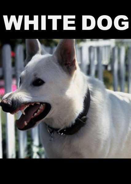 White Dog