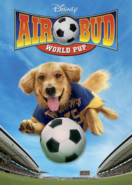 play video on Netflix