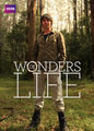 Wonders of Life | filmes-netflix.blogspot.com.br