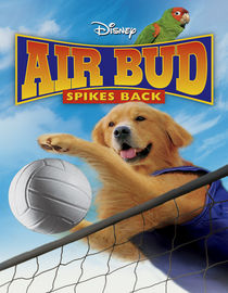 Air Bud Spikes Back