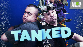 Netflix Usa Tanked Is Available On Netflix For Streaming
