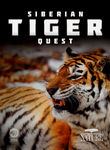 NATURE: Siberian Tiger Quest Poster