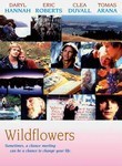 Wildflowers Poster