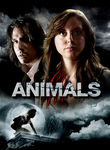 Animals Poster