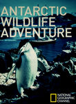 National Geographic: Antarctic Wildlife Adventure Poster