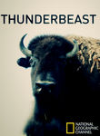 National Geographic: Thunderbeast Poster