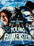 Young Frankenstein Poster
