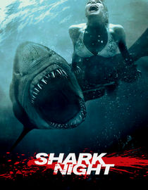 play video on Netflix