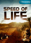 Speed of Life: Season 1 Poster