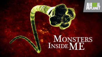 watch monsters inside me