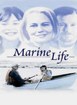 Marine Life Poster