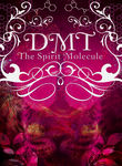 DMT: The Spirit Molecule Poster