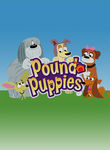 Pound Puppies Poster