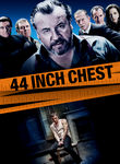 44 Inch Chest Poster