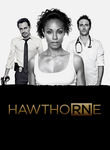 HawthoRNe: Season 1 Poster