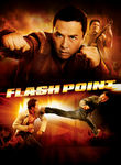 Flash Point Poster