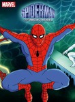 Spider-Man and His Amazing Friends Poster