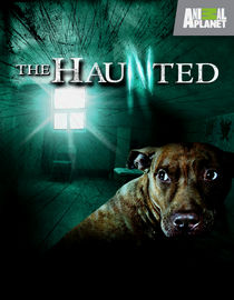 The Haunted: Season 2: Invasion of the Poltergeist