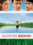 Summer Storm Poster