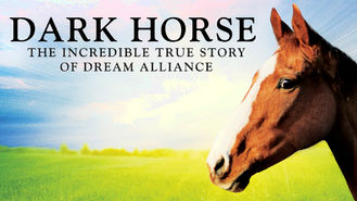 Netflix box art for Dark Horse